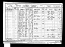 John Williams possible 1901 census