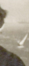 Image: Topliffe, Alice Emma