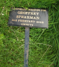 Geoffrey Spearman Marker