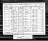Thomas Thomas Williams POSSIBLE 1891 census
