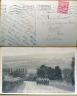 Brenda Maisie postcard