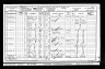 samuel wood 1901 census