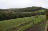 Pwlldrain